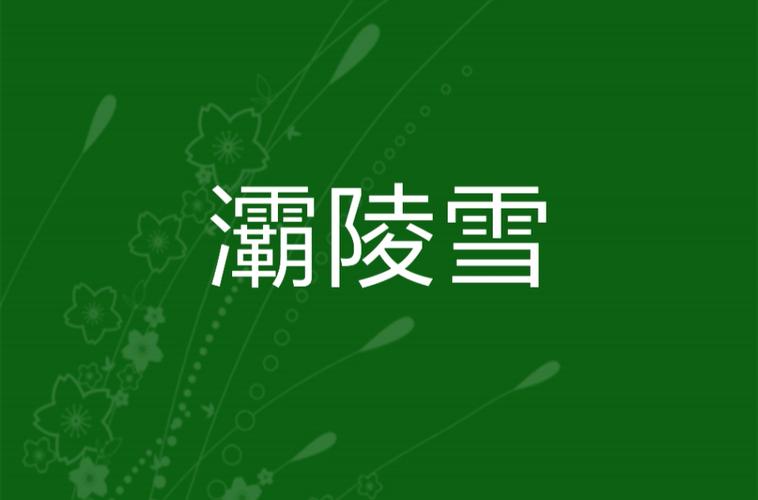 《灞陵雪》【精校】作者：贼道三痴.txt